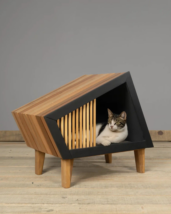 CASA PARA MASCOTAS MODERNA